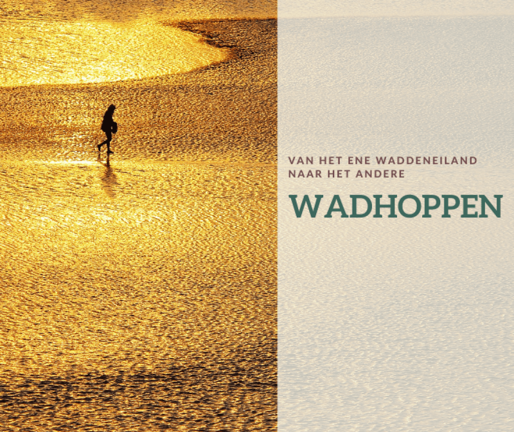 Hoppen van wad naar wad