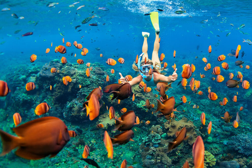 Snorkeling sint maarten