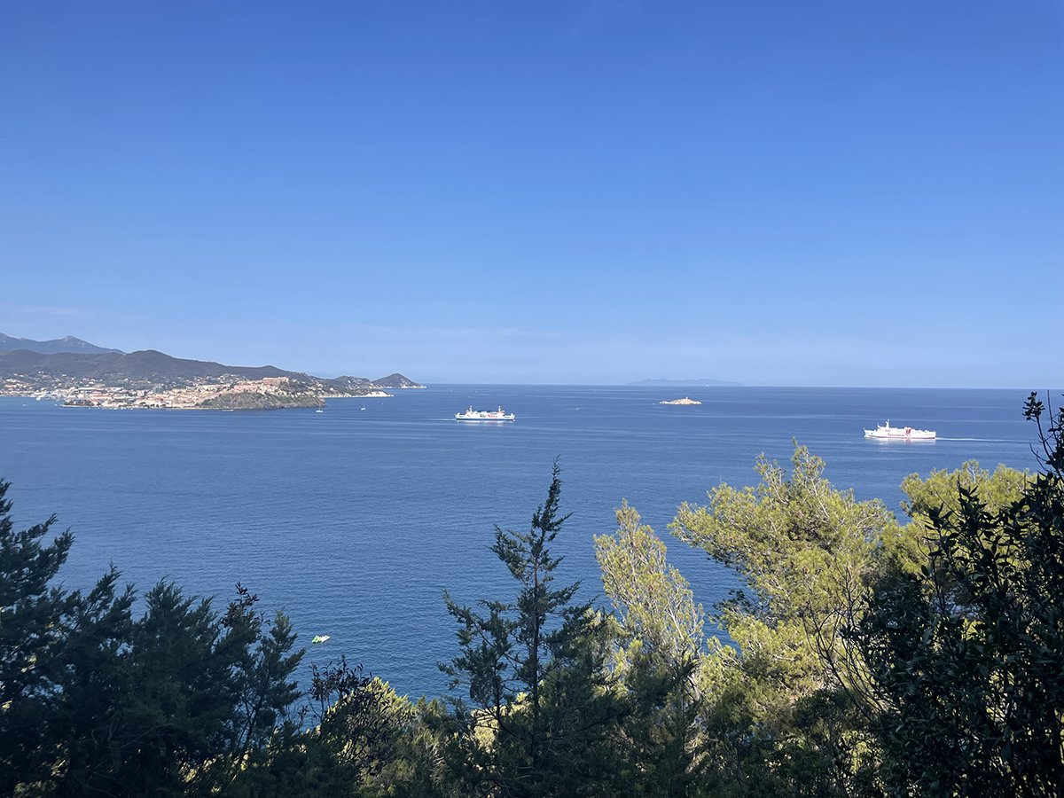 Twee veerboten op een kalme zee voor Portoferraio, gezien tussen de pijnbomen door