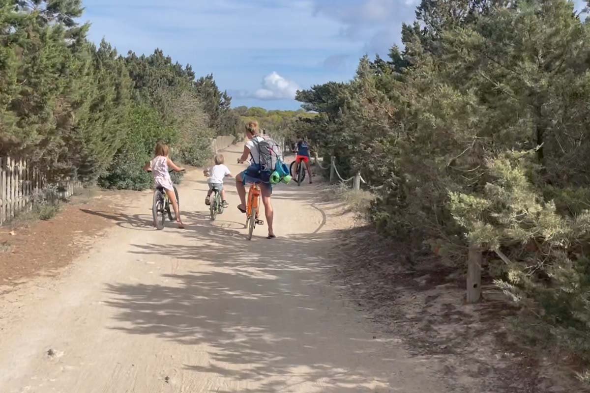Een volwassene en twee kinderen fietsen over een zandpad tussen lage pijnbomen, met strandtassen aan het stuur