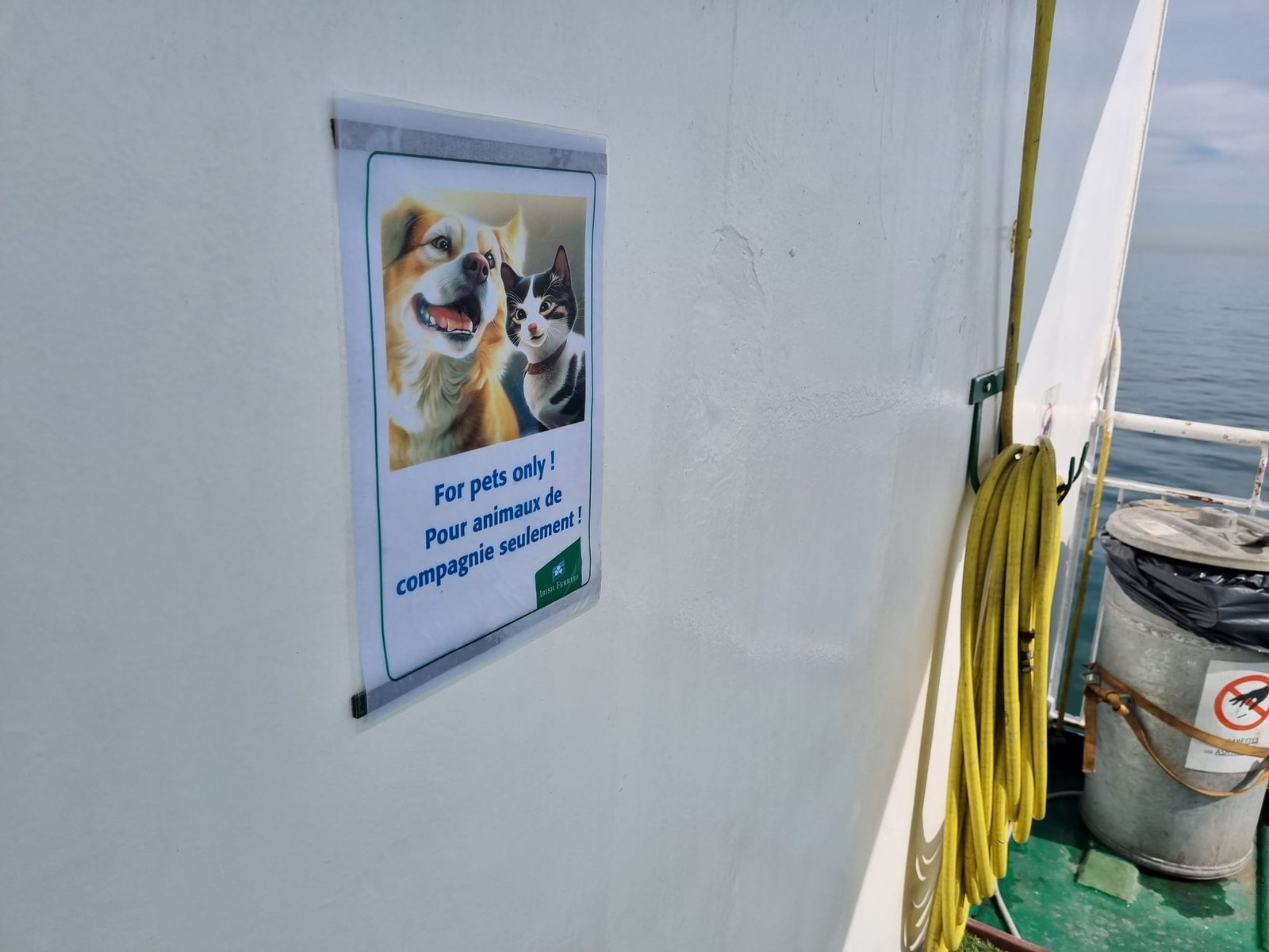 Een bordje van Irish Ferries met een hond en een kat en de tekst For pets only en Pour animaux de compagnie seulement, op een witte wand op het buitendek, naast een gele tuinslang en een vuilnisbak